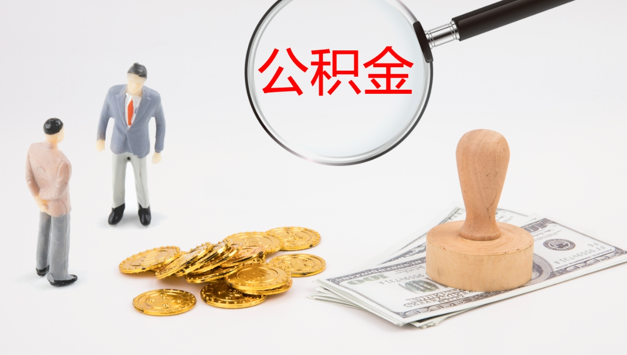 嘉善我的个人公积金查询（个人公积金信息查询）